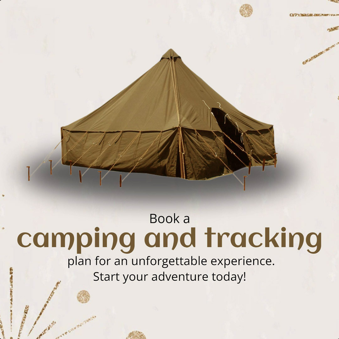 Camping & Tracking