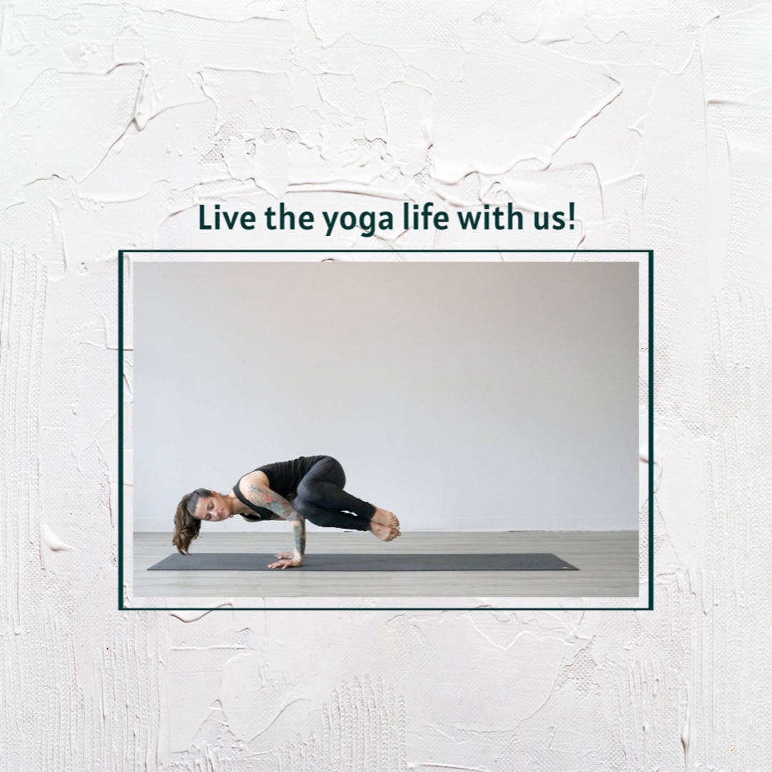 Gym & Yoga