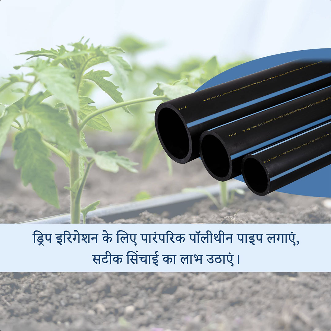 Agriculture