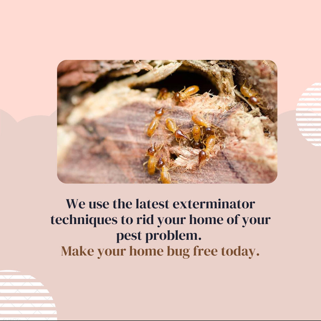 Pest Control