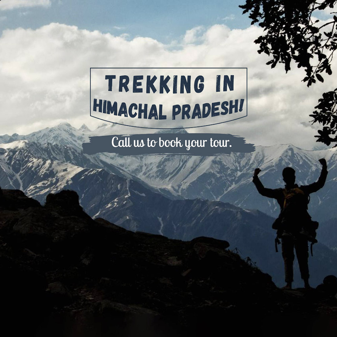Camping & Tracking