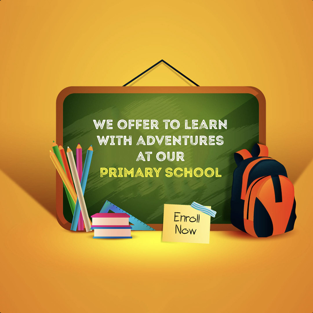 Education & Coaching