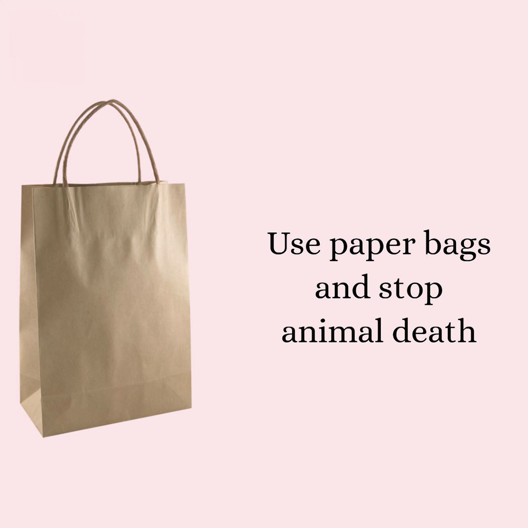 Bag Manufacturing