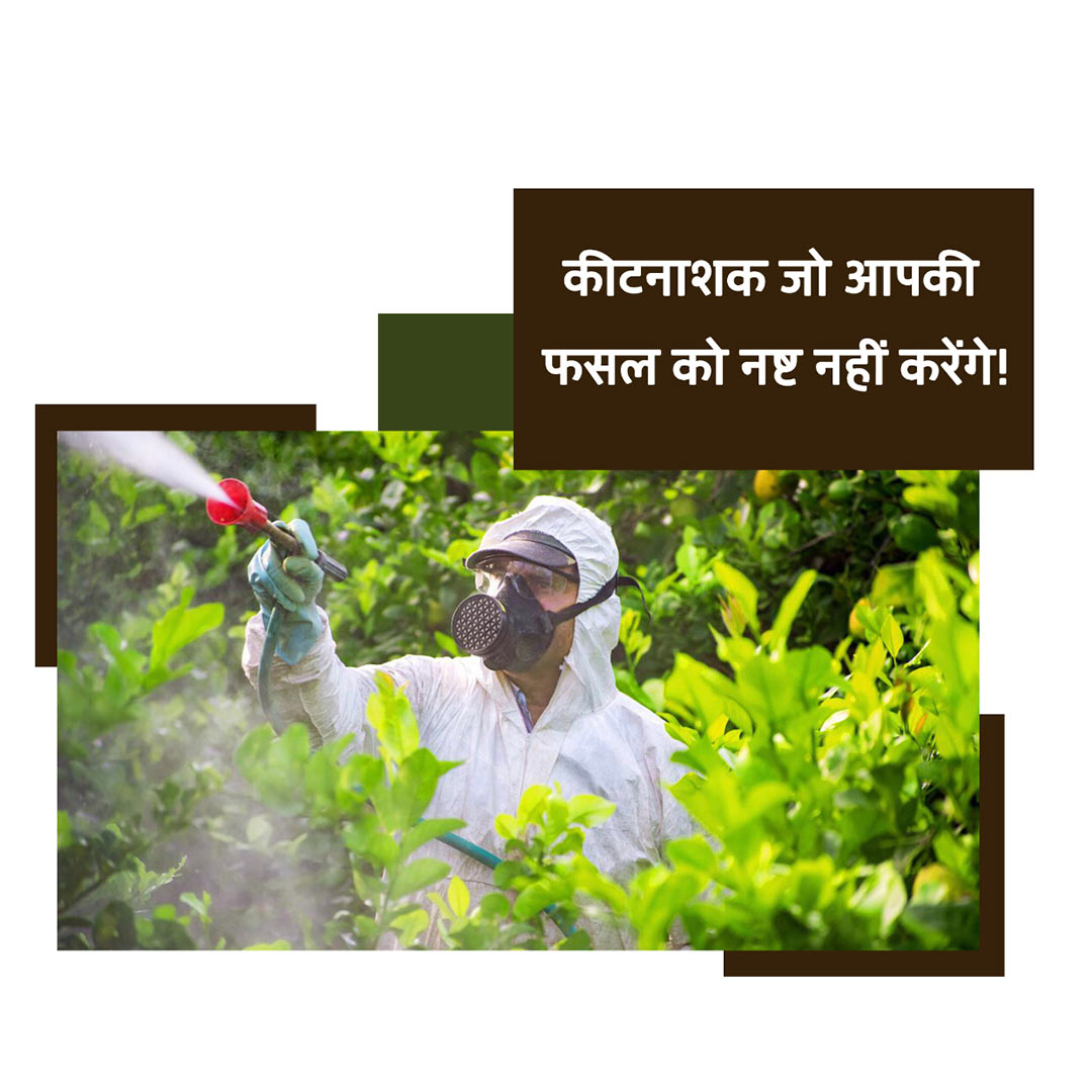 Agriculture