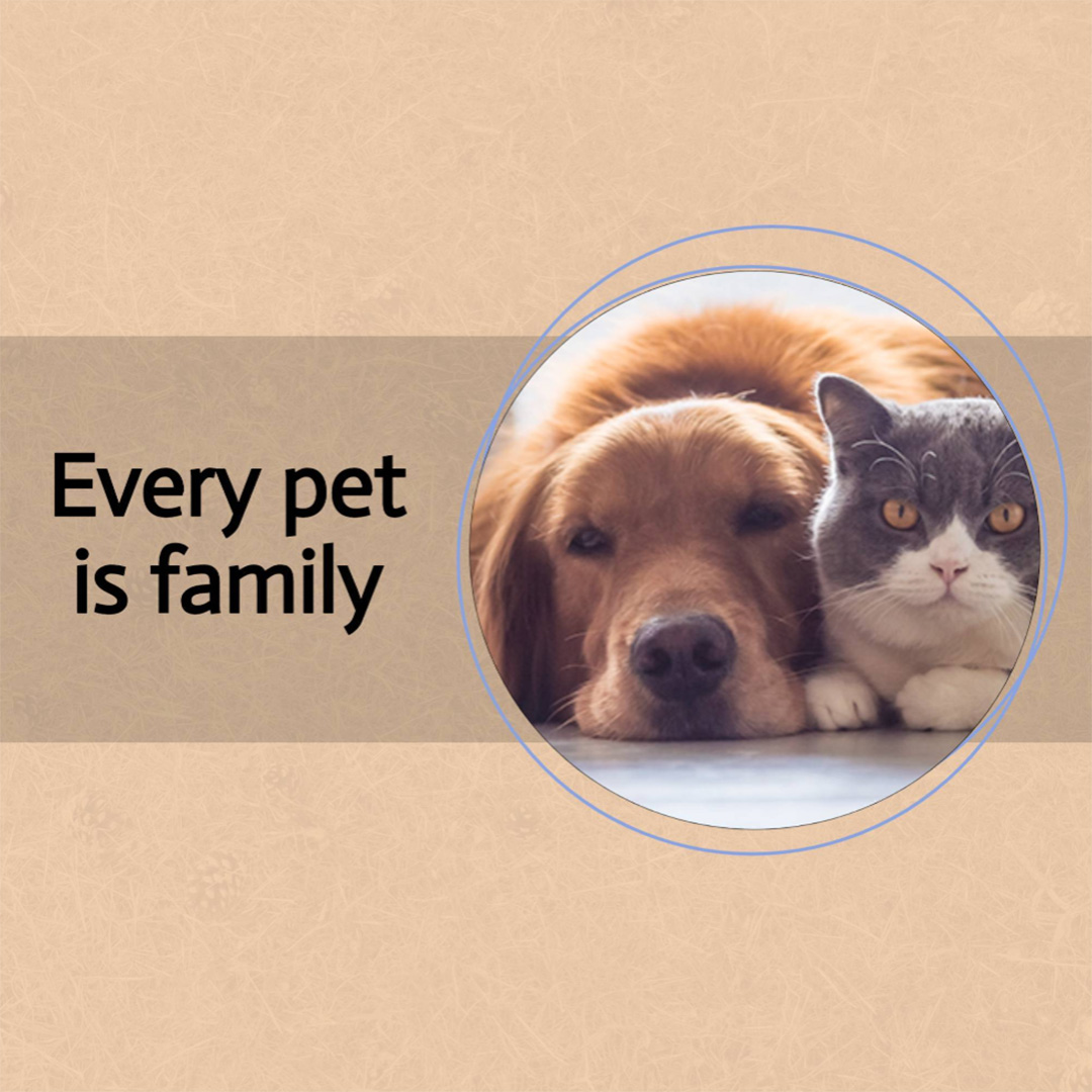 Pet Shop
