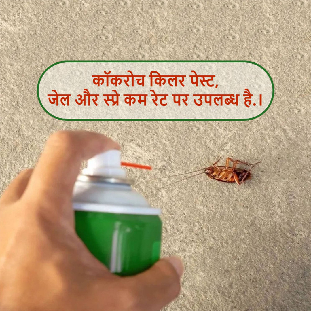 Pest Control