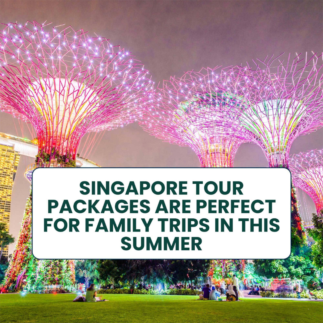 Tours and Travels