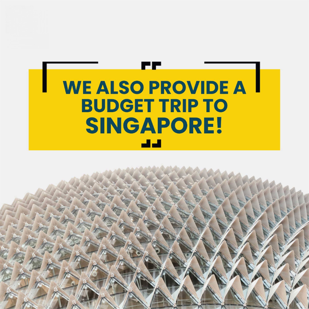 Tours and Travels