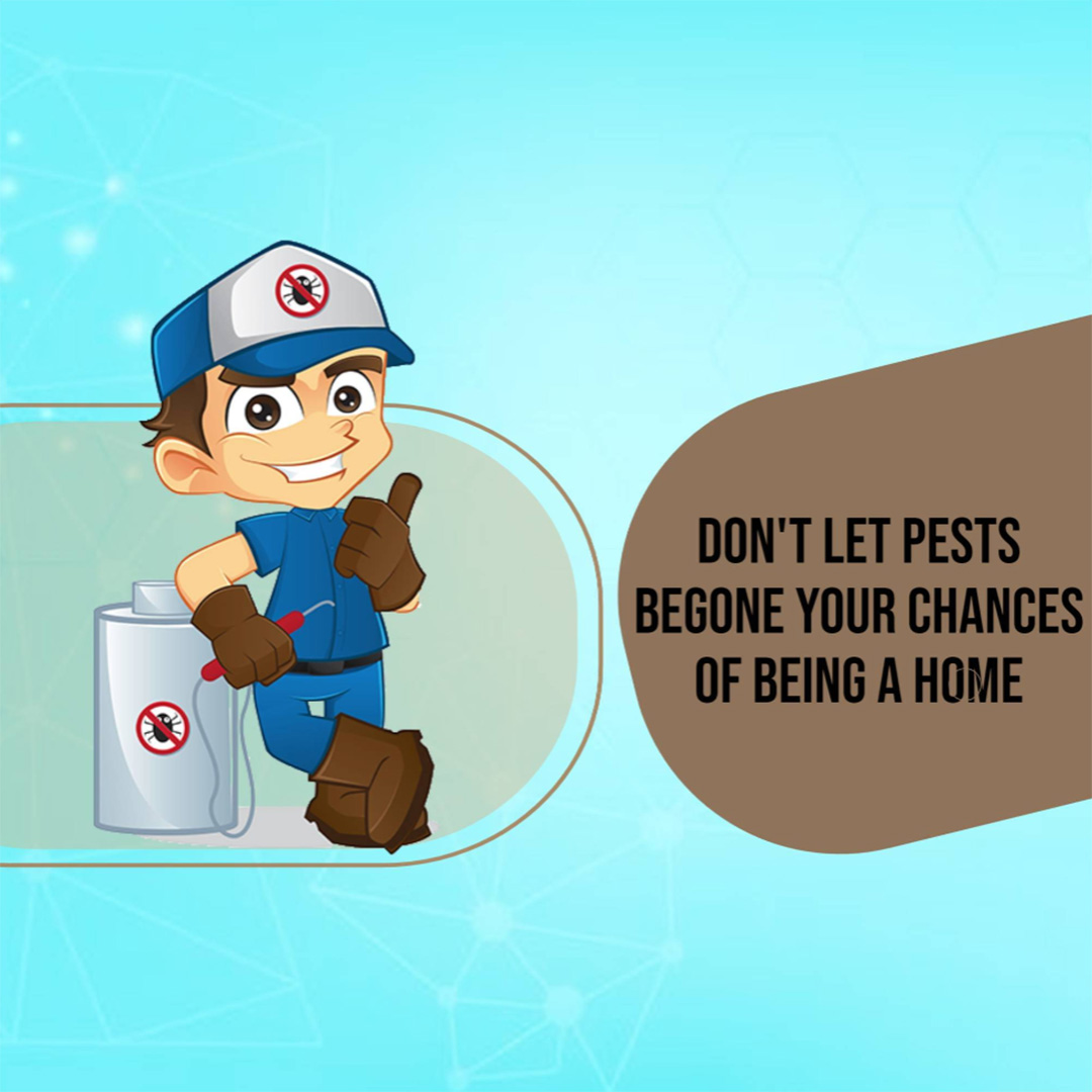 Pest Control