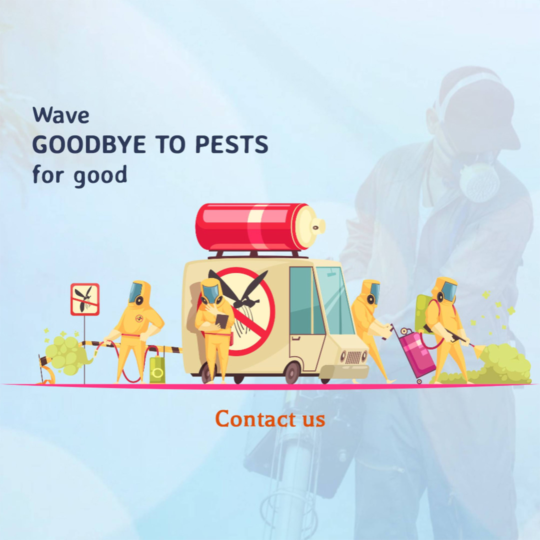 Pest Control