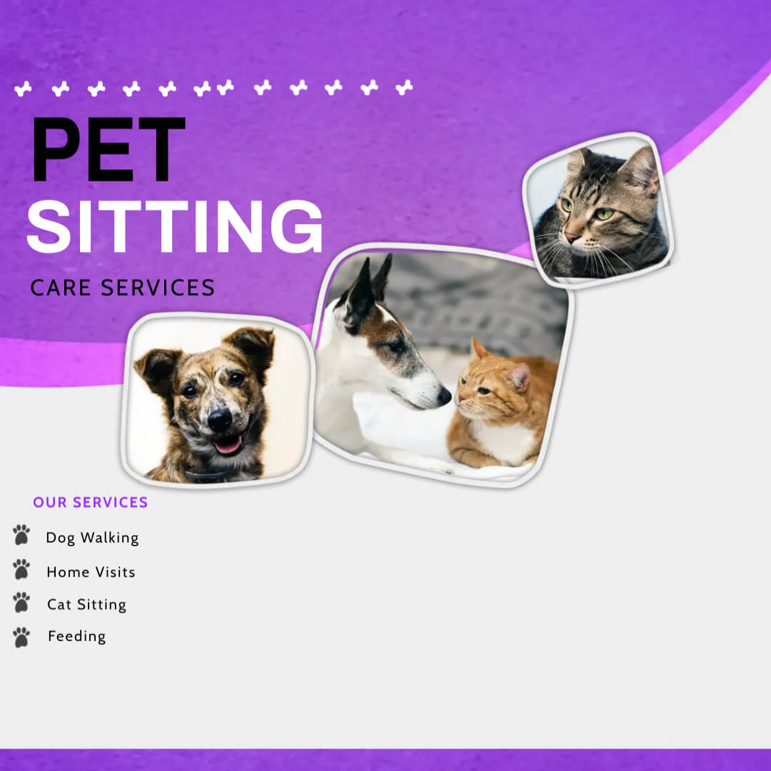 Animal Care