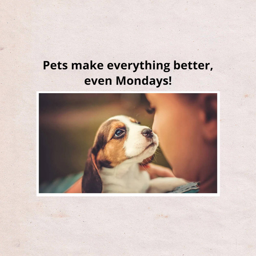 Pet Shop