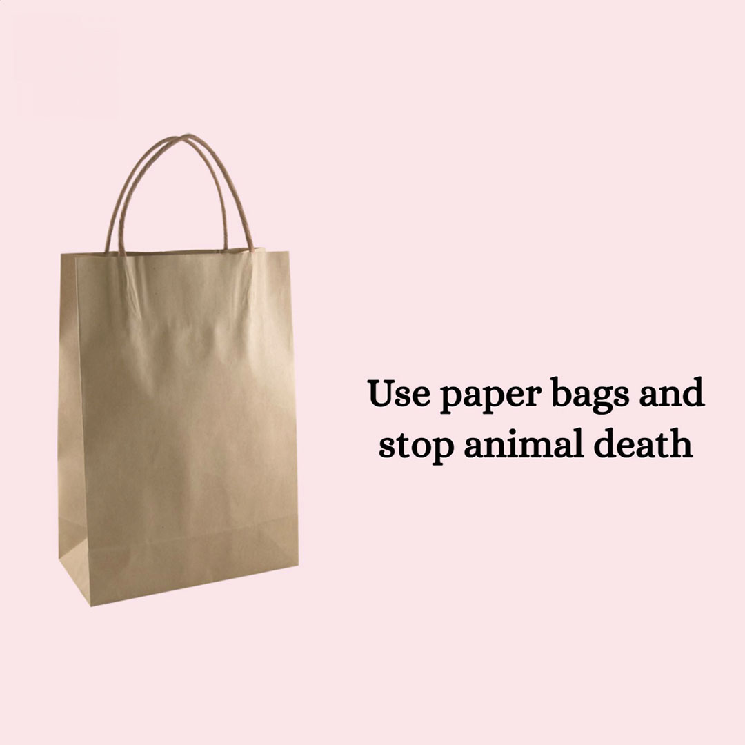 Bag Manufacturing