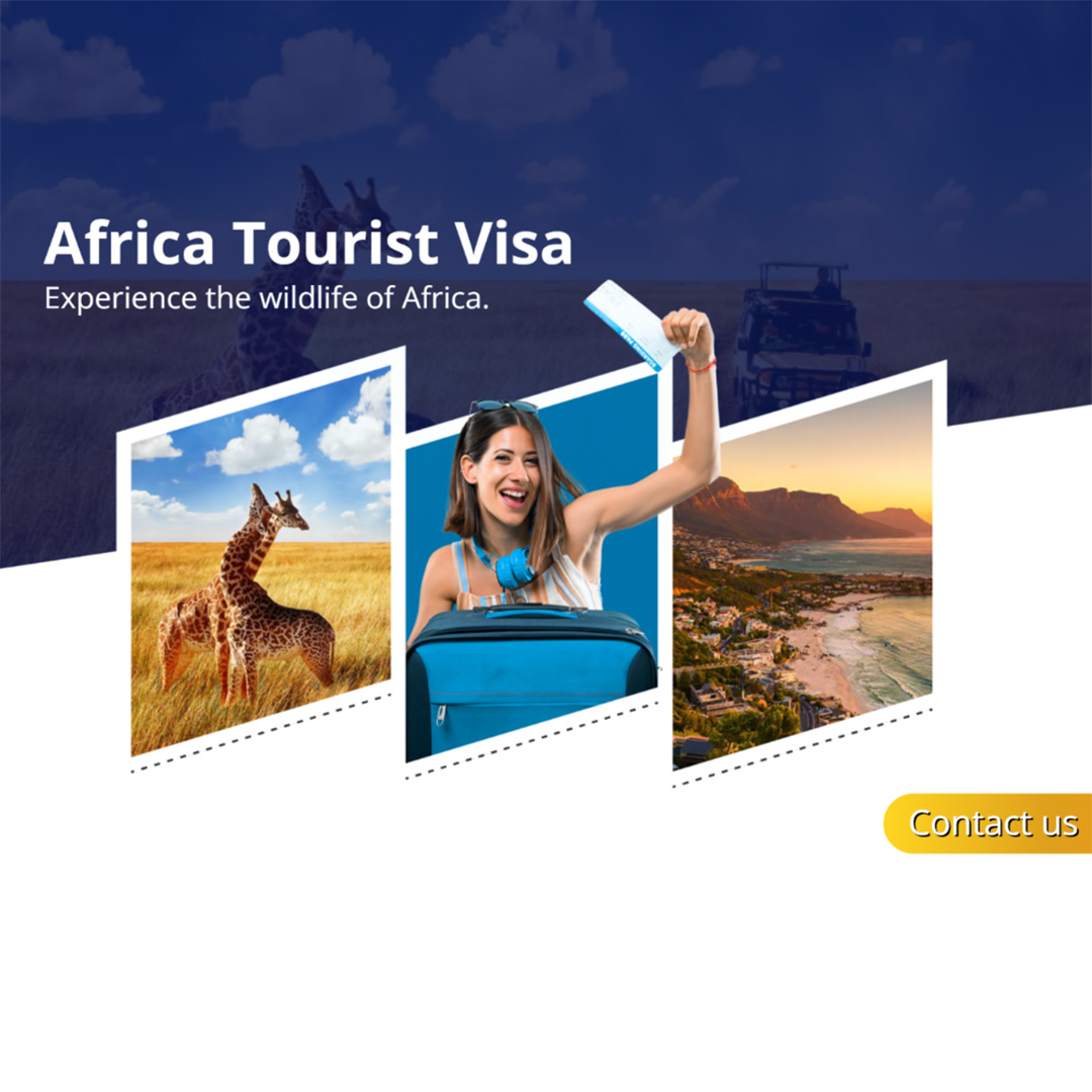 Tours and Travels
