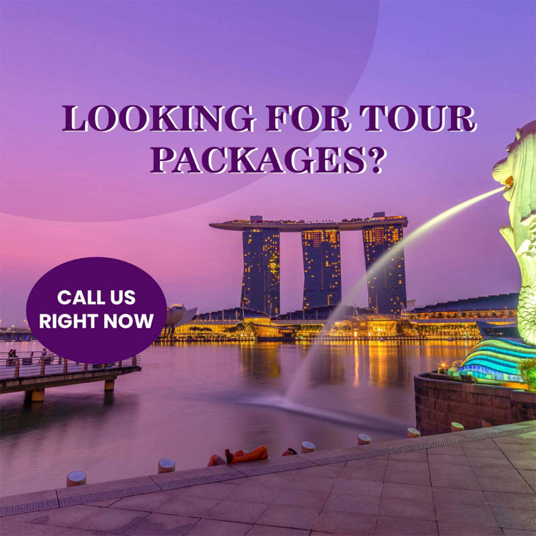 Tours and Travels