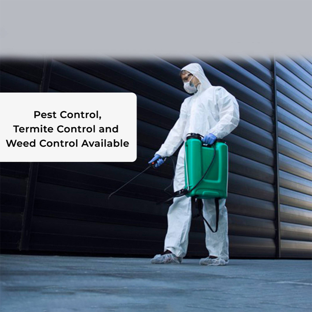 Pest Control