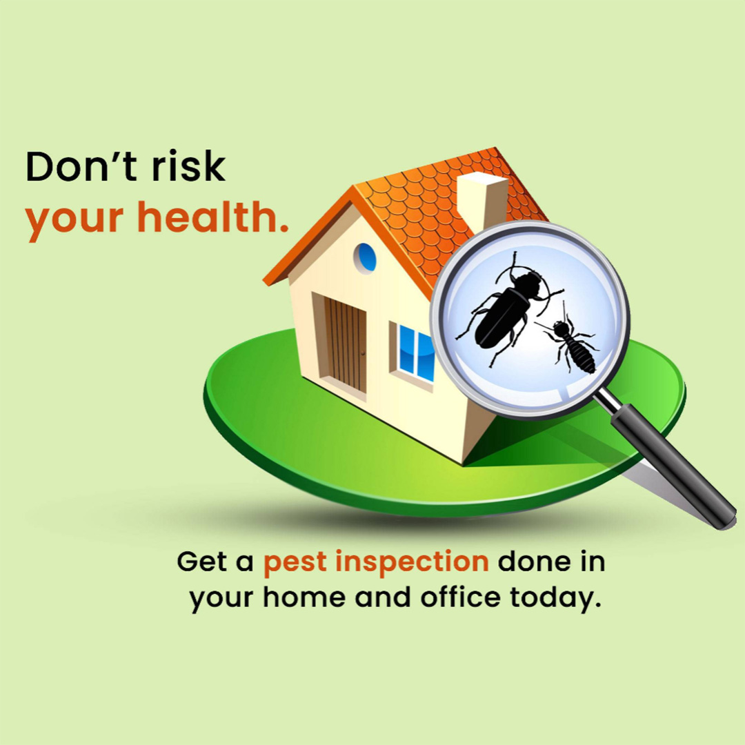 Pest Control