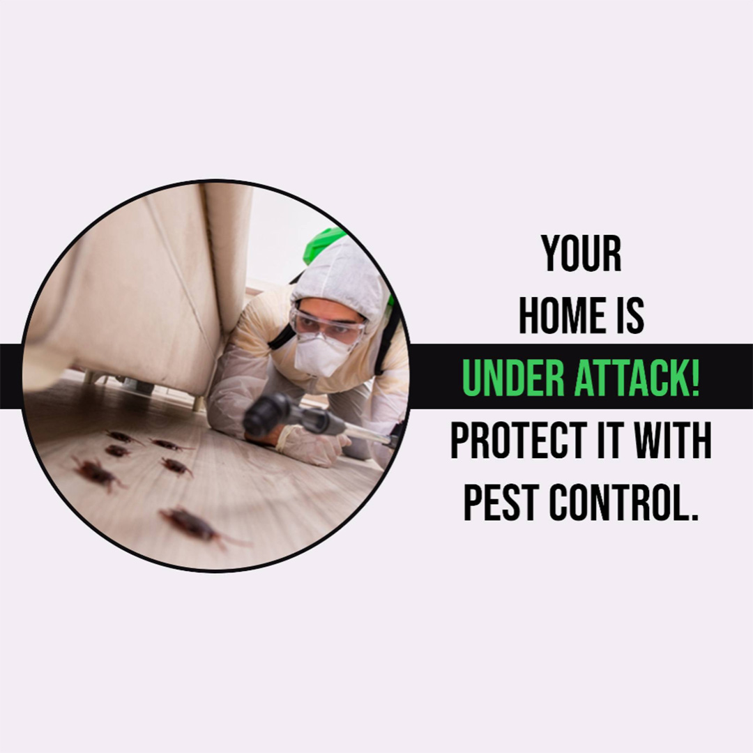 Pest Control