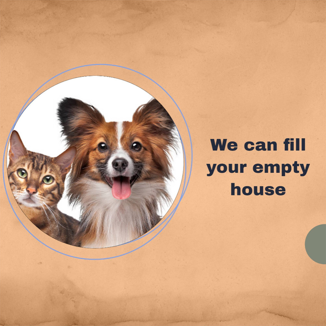 Pet Shop
