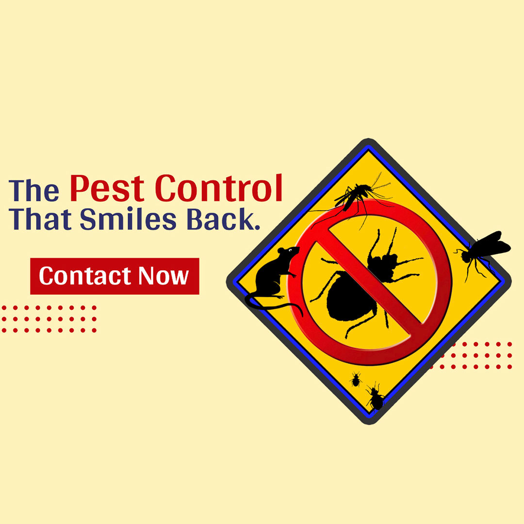 Pest Control