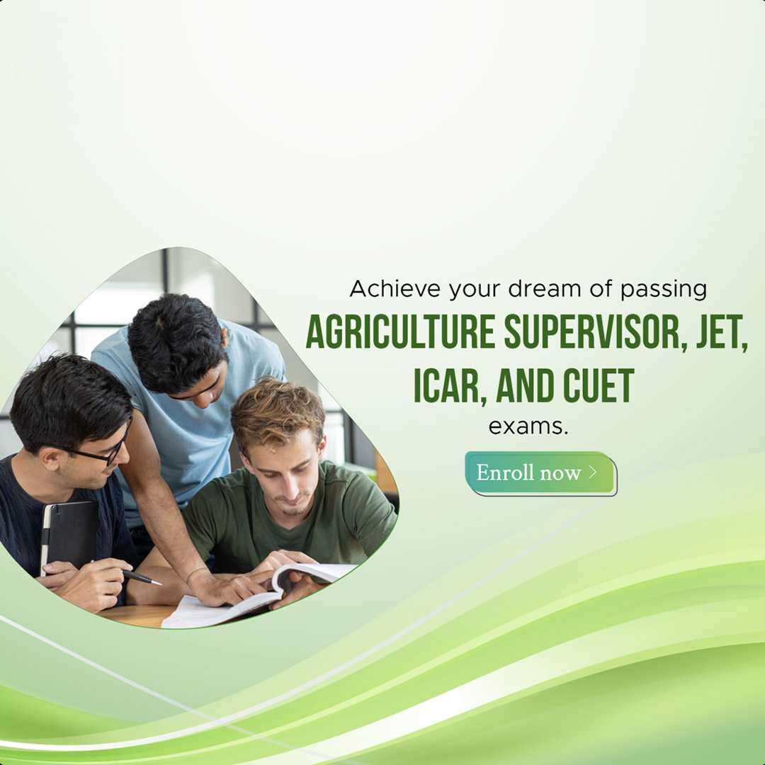 Education & Coaching
