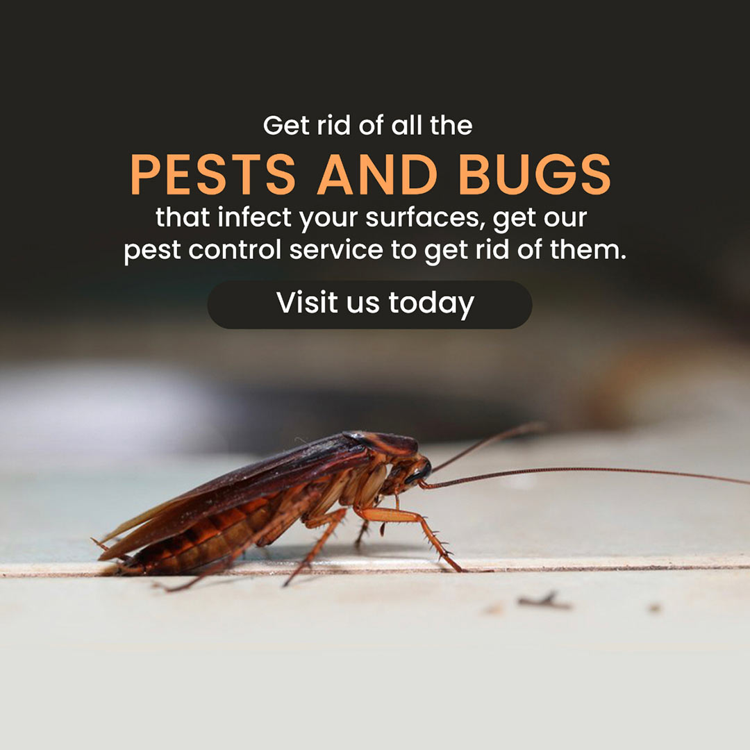 Pest Control