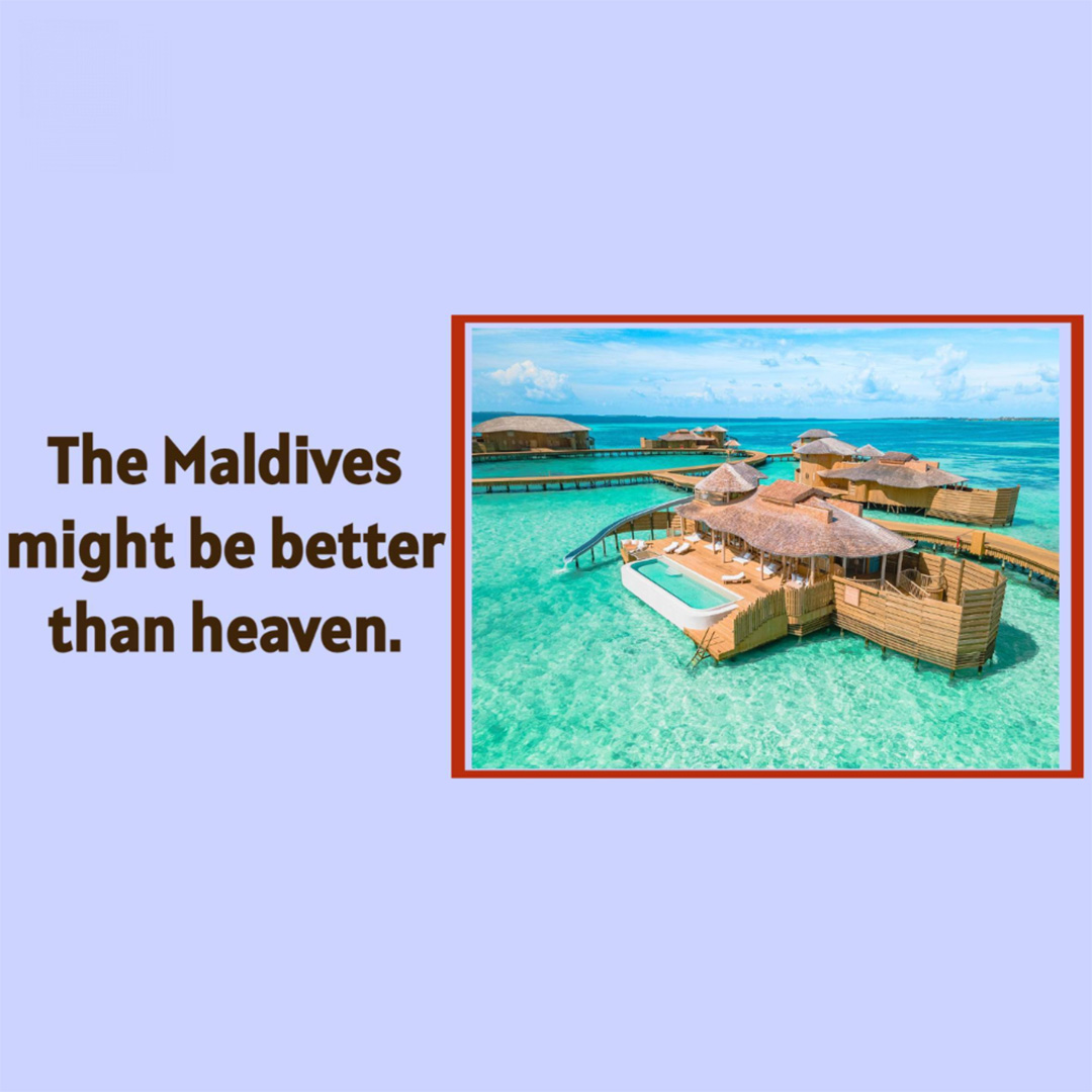 Tours and Travels