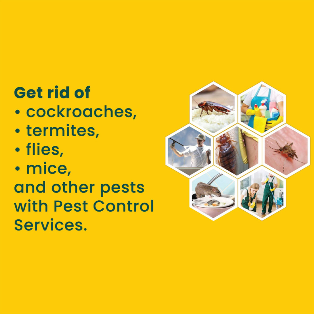 Pest Control