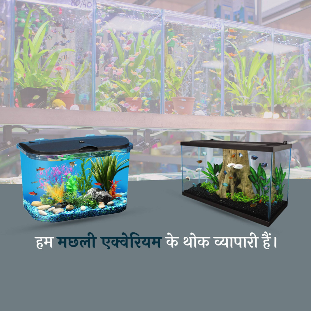 Pet Shop