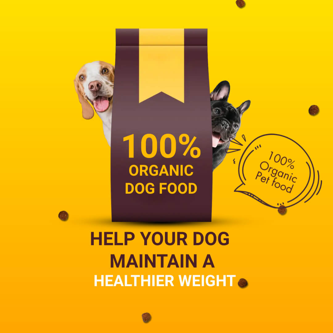 Animal Care