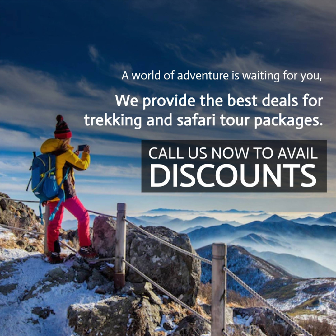 Tours and Travels