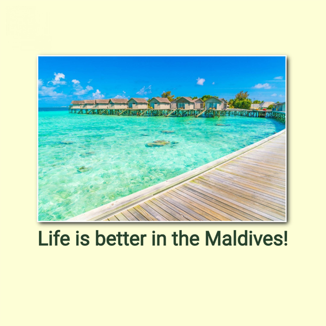Tours and Travels