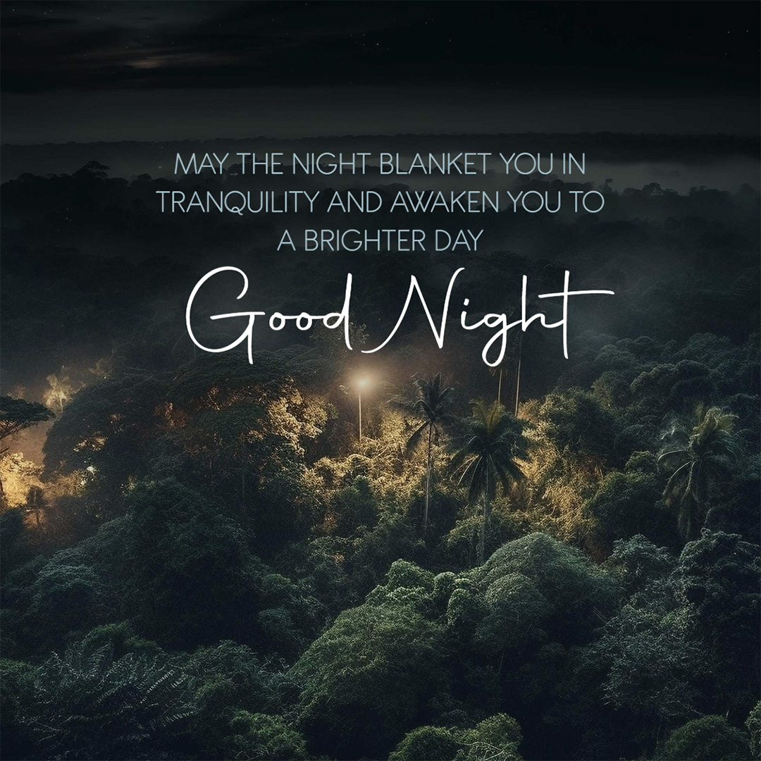 Good Night