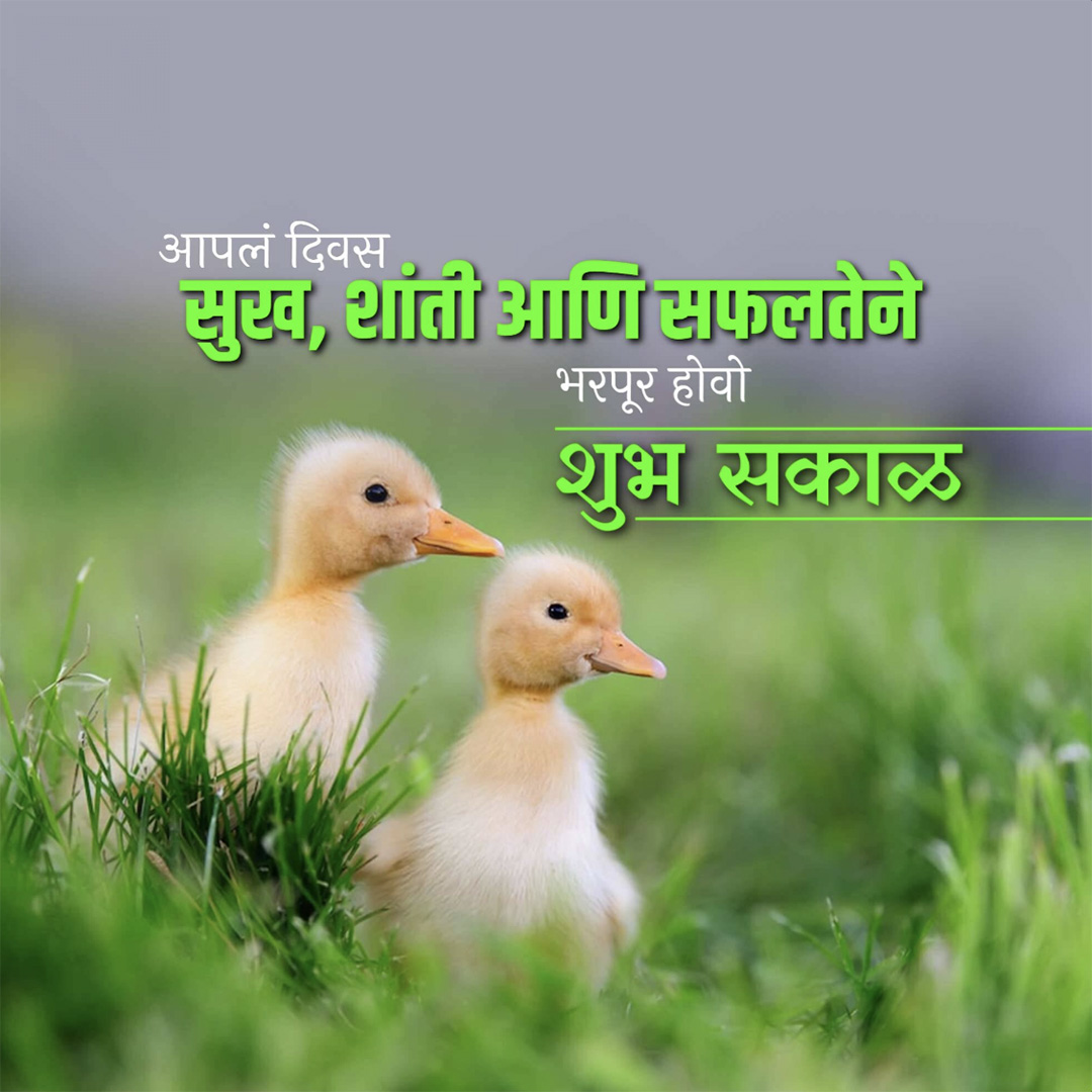 Good Morning