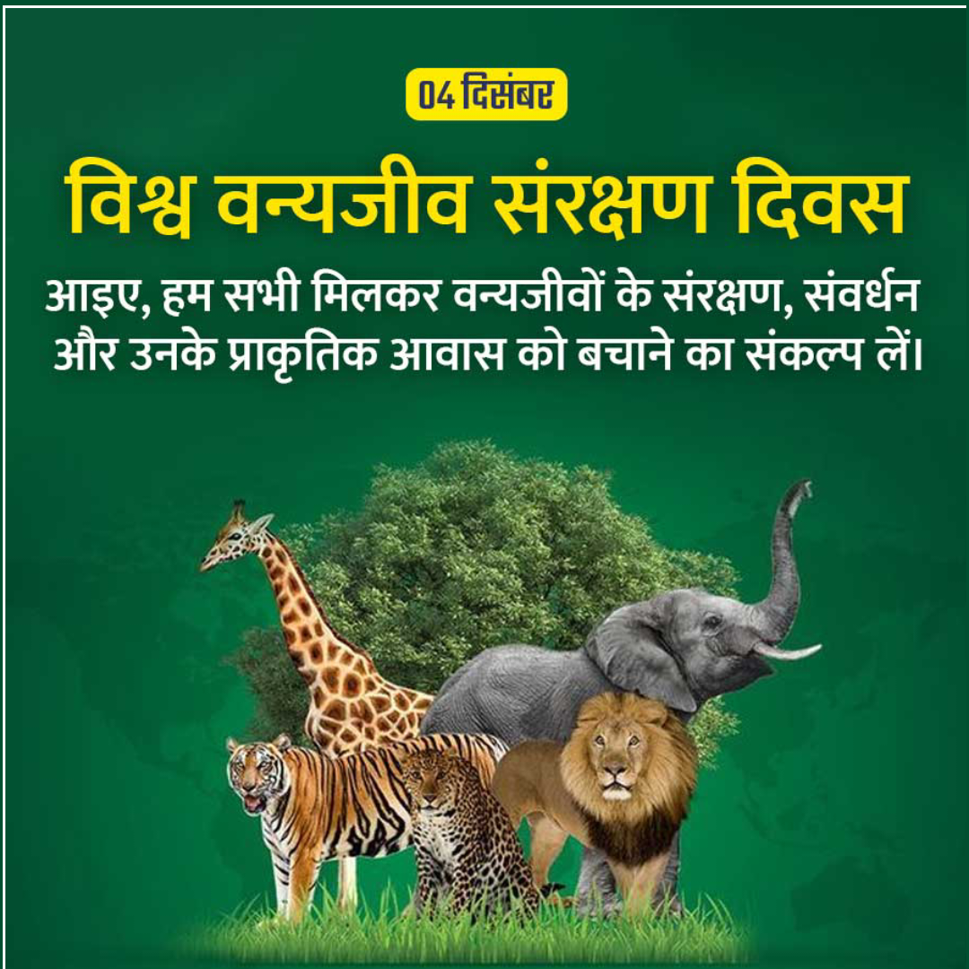 Amazing Fact