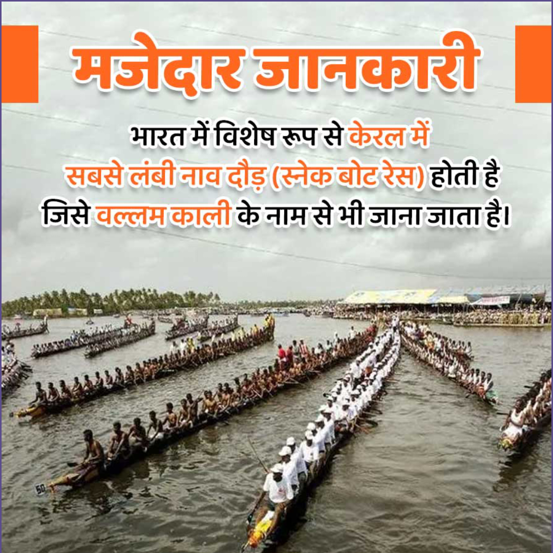 Amazing Fact