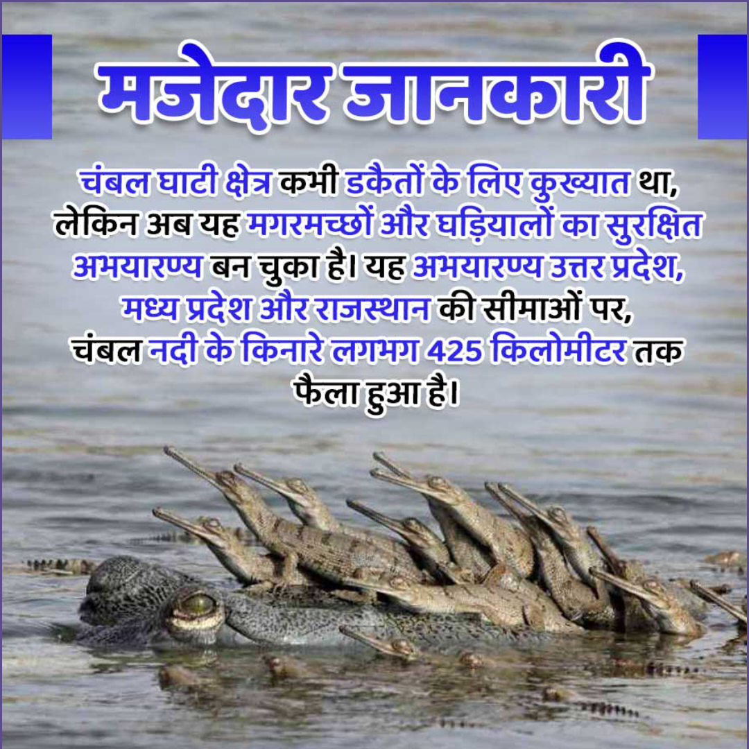 Amazing Fact