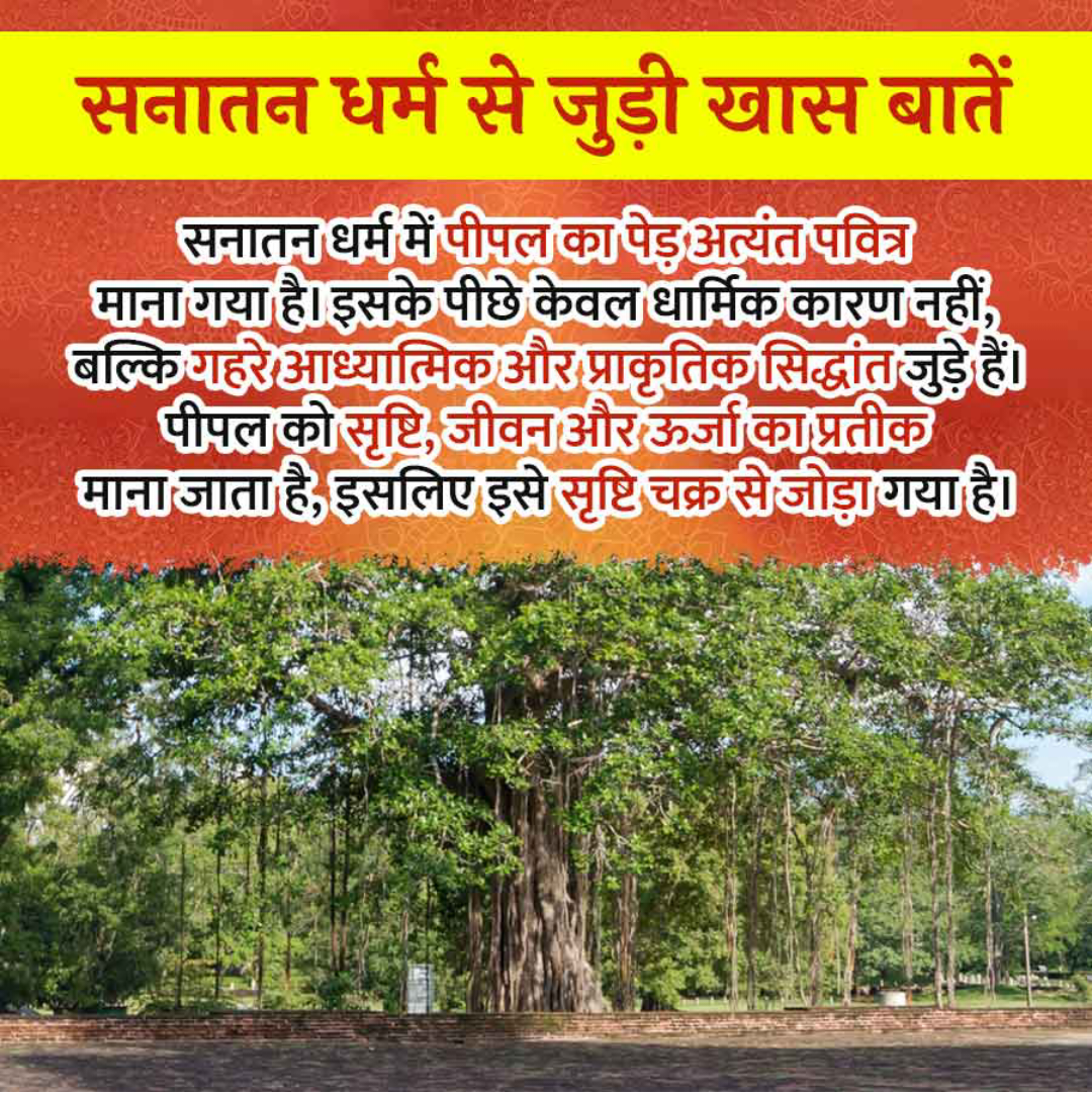 Sanatan