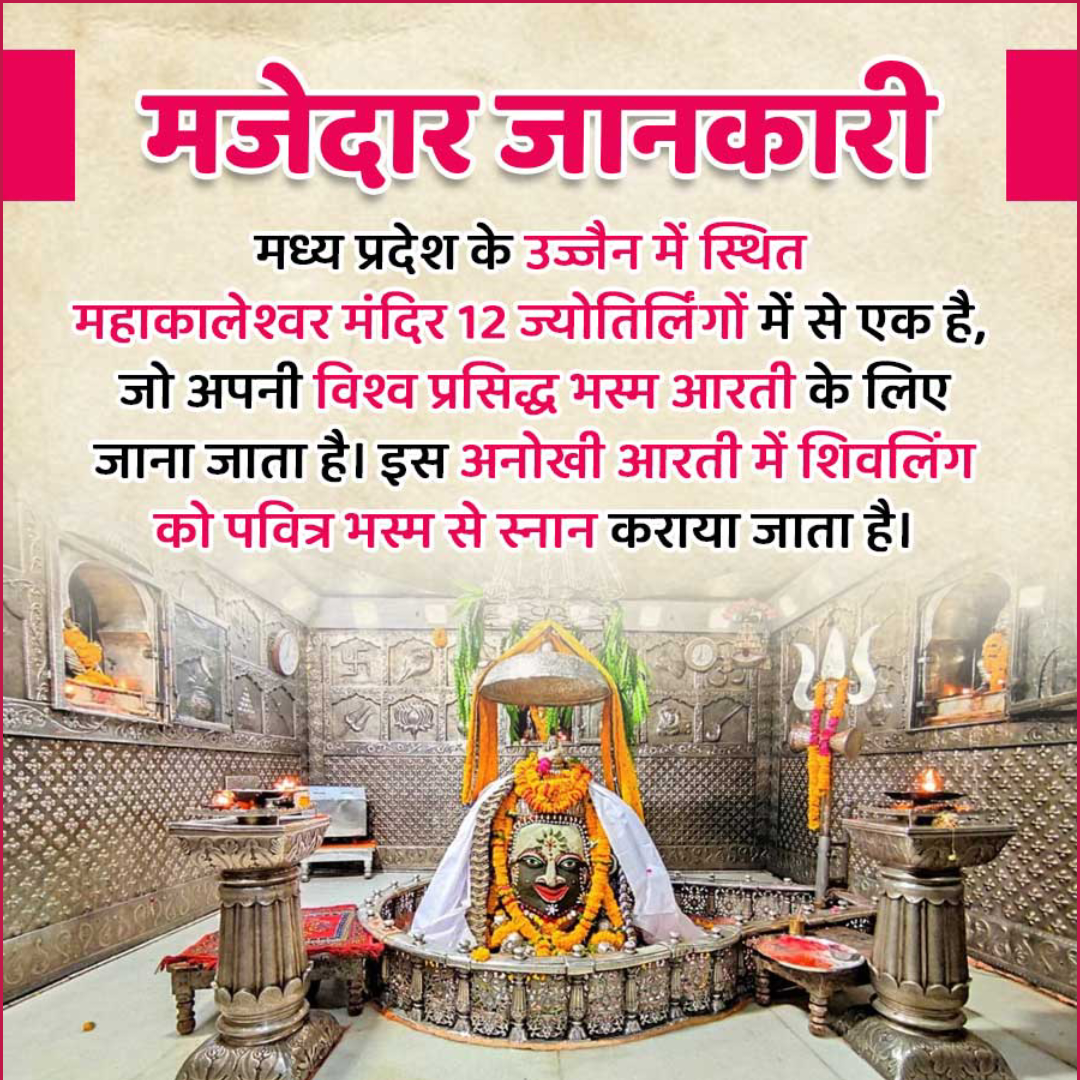 Amazing Fact