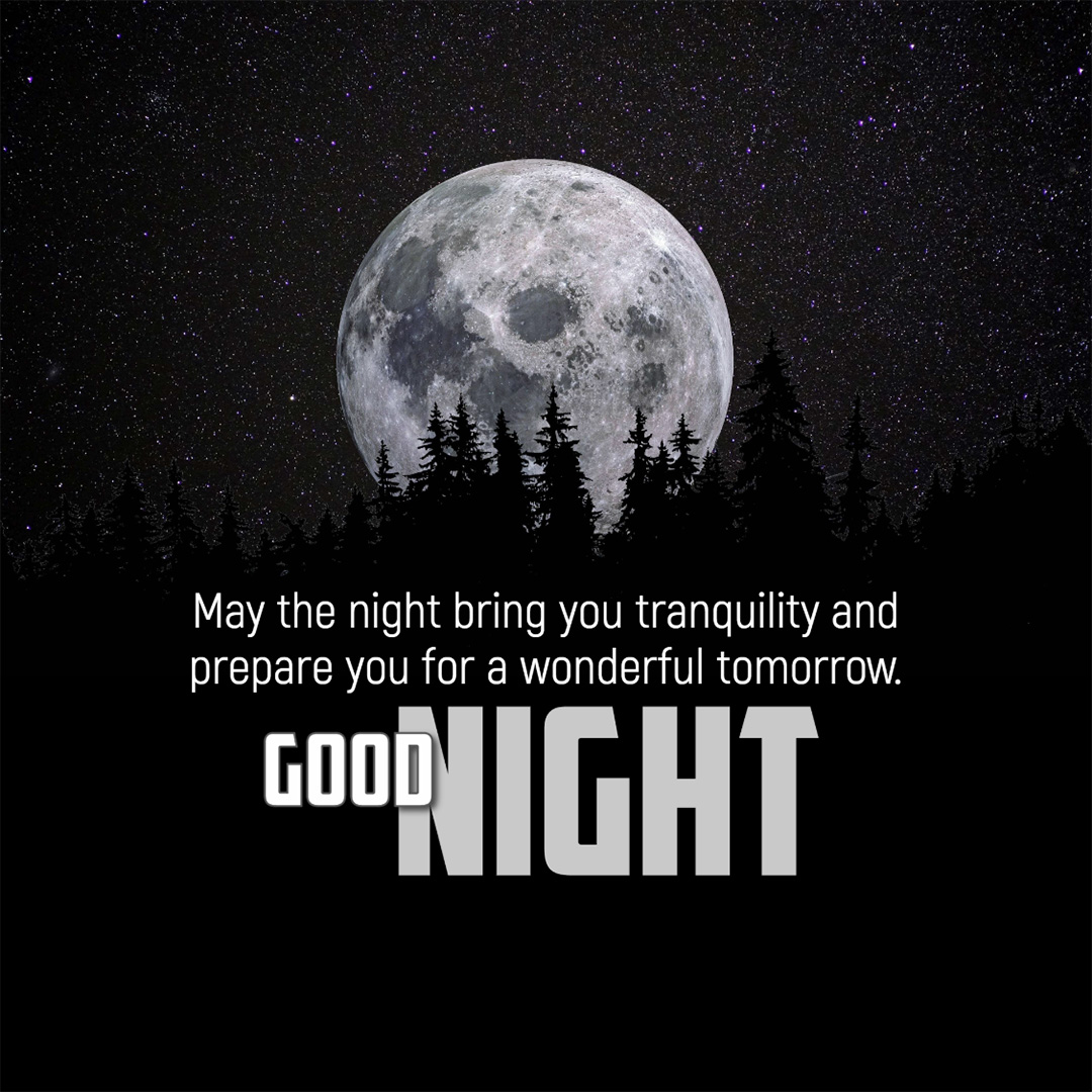 Good Night