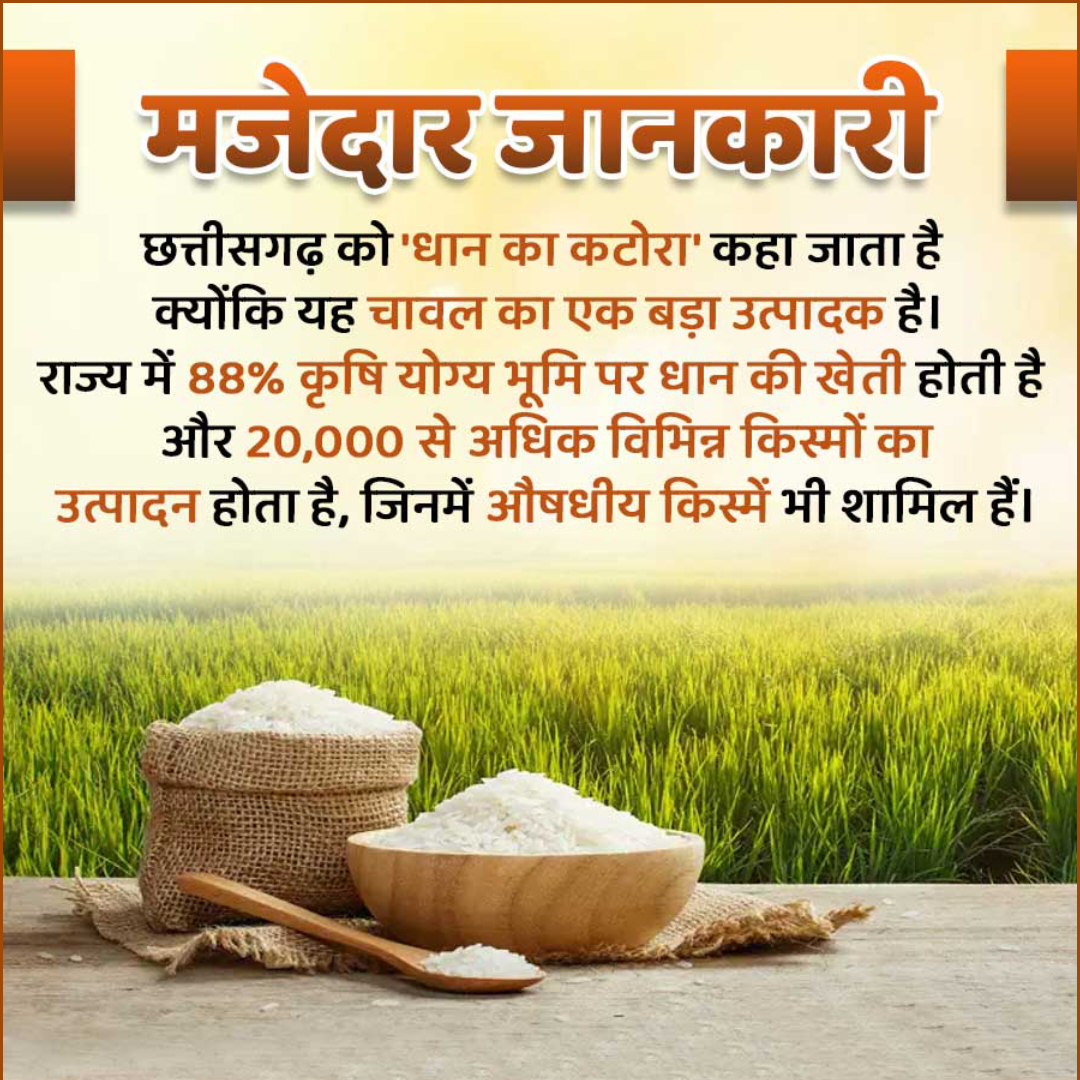 Amazing Fact