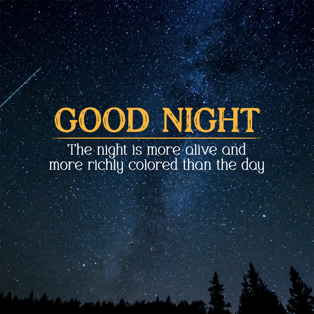 Good Night