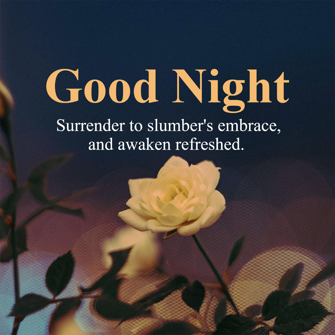Good Night