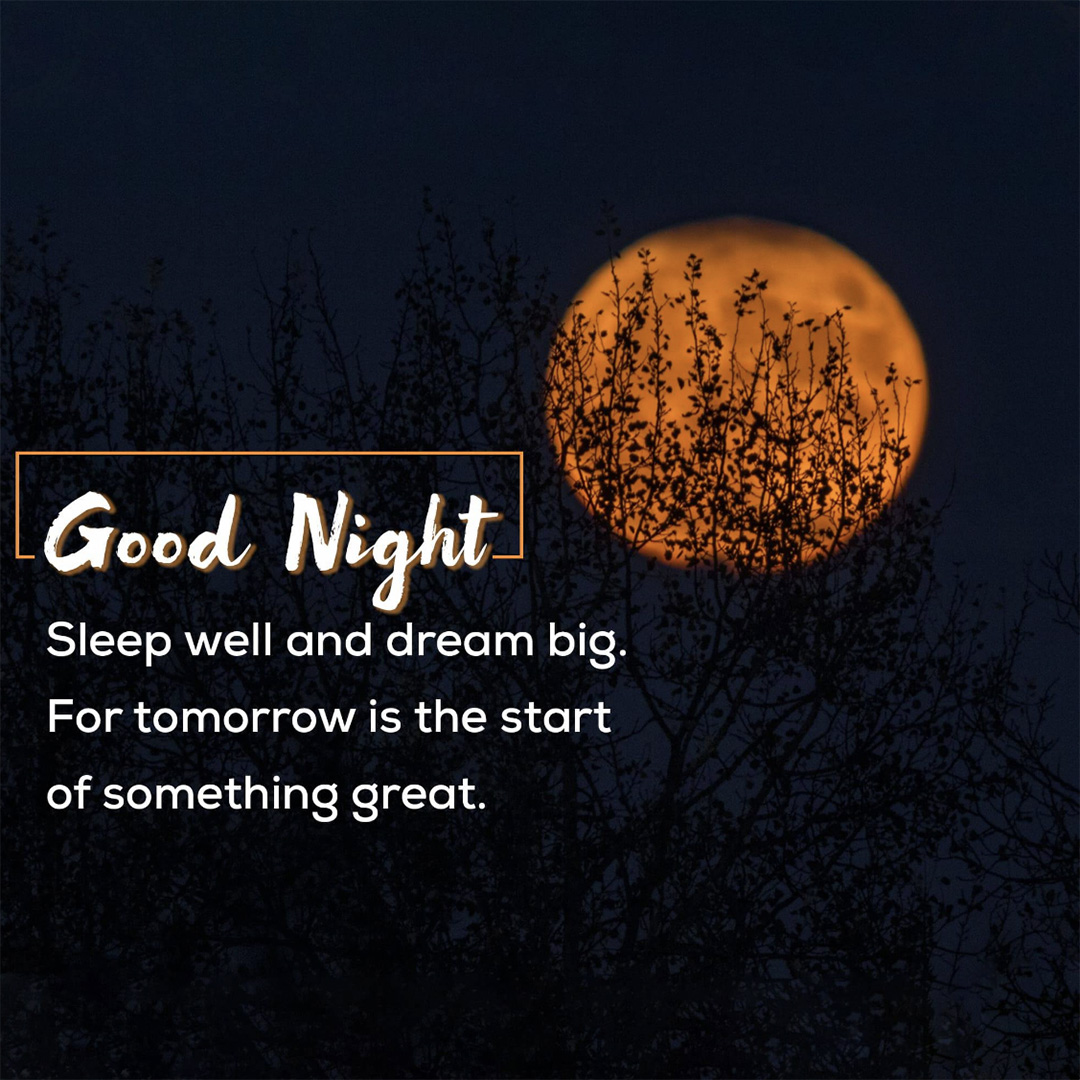 Good Night