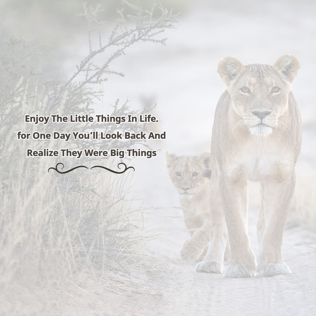 Good Thoughts (Suvichar)