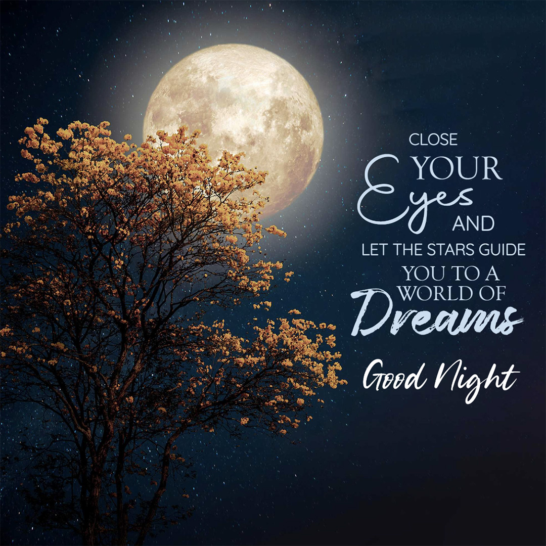 Good Night