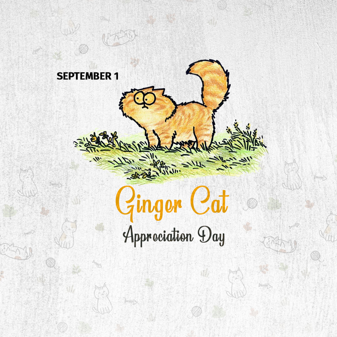 Ginger Cat Appreciation Day