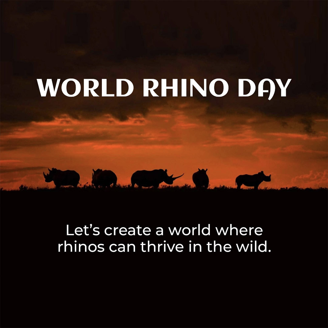 World Rhino Day