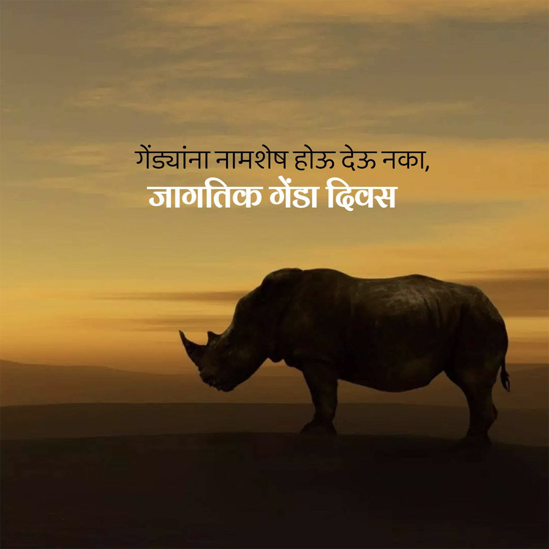 World Rhino Day