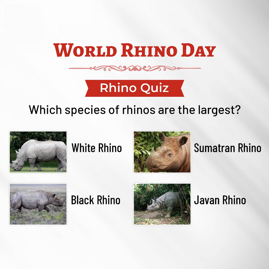 World Rhino Day